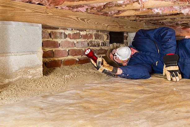 Crawl space Inspections Crawl Space Contractors in Metro East IL